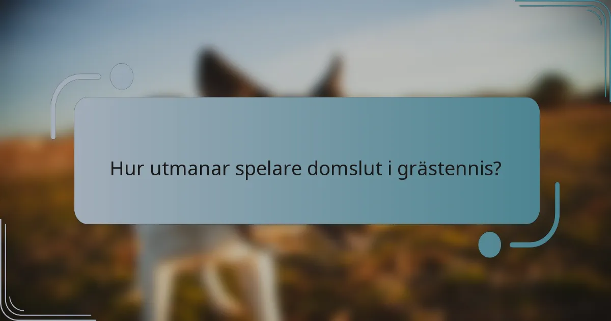 Hur utmanar spelare domslut i grästennis?