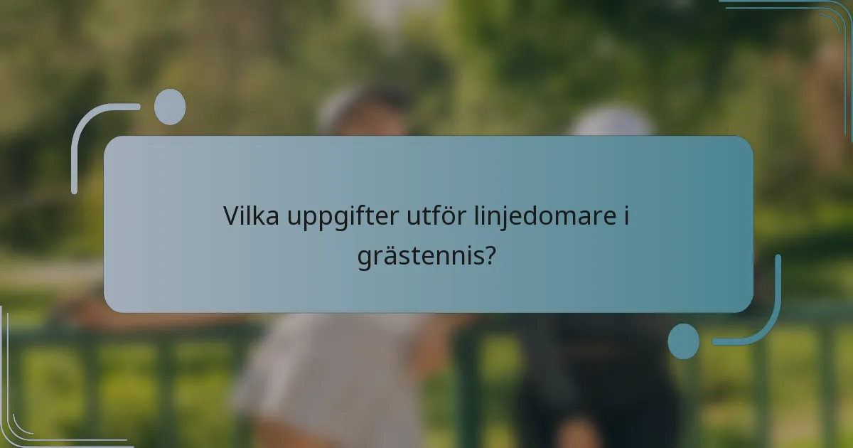 Vilka uppgifter utför linjedomare i grästennis?